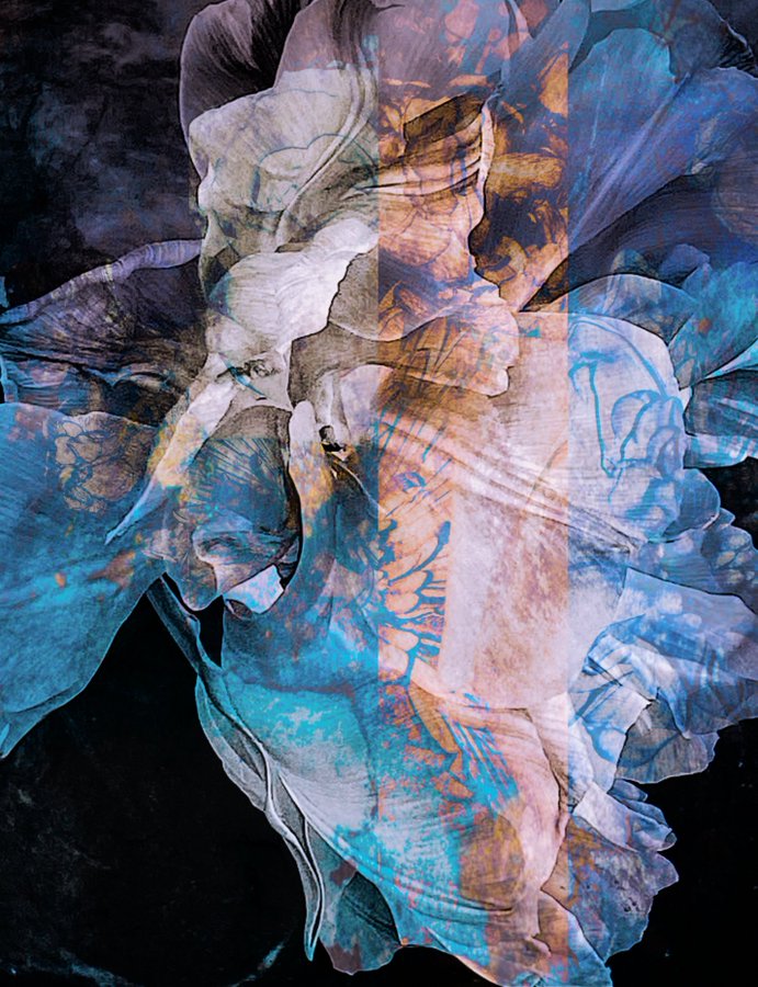 Fluid Artwork 2